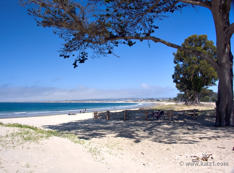 Monterey 1